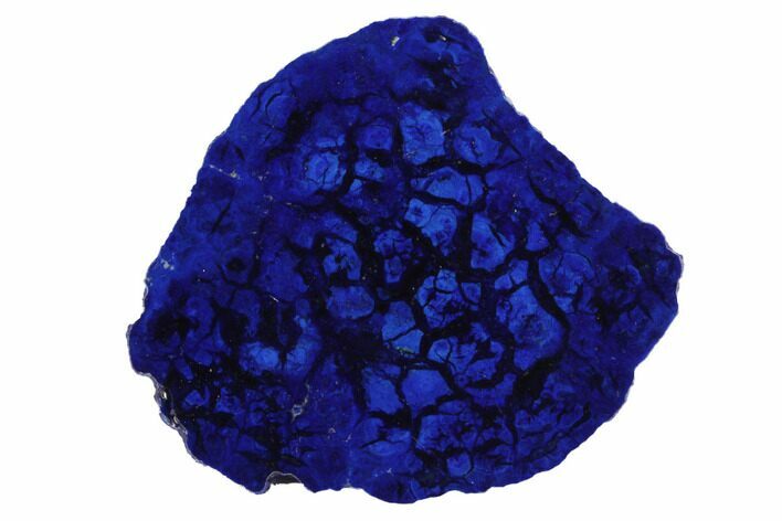 Vivid Blue, Cut/Polished Azurite Nodule - Siberia #94589